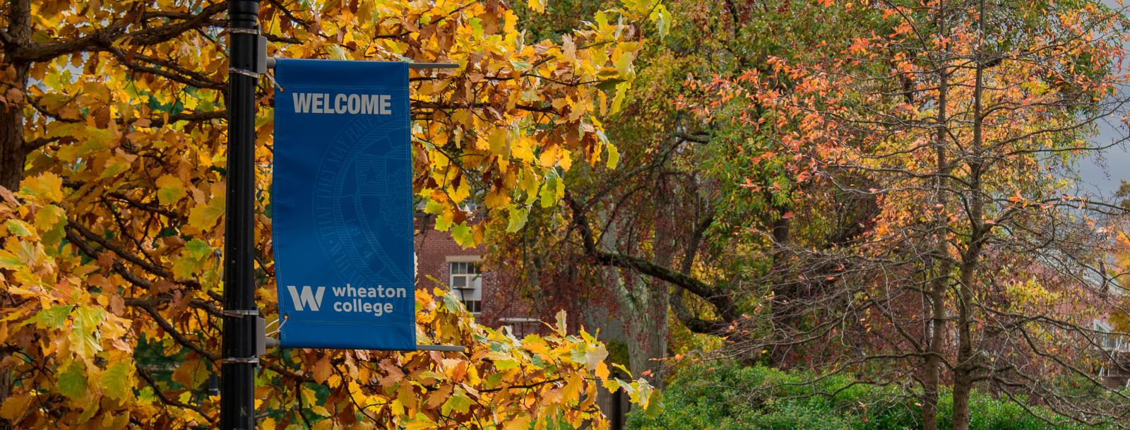 Trees with golden, fall foliage and a blue banner that reads Welcome. Wheaton College.