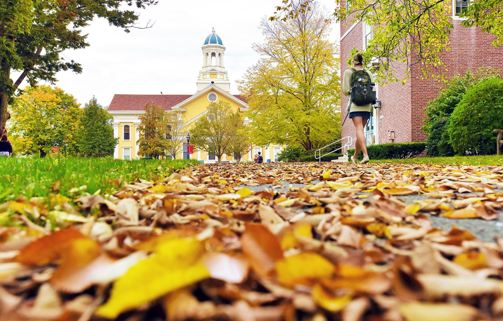 Wheaton student walking through autumnal leaves toward a yellow building known as Mary Lyon Hall