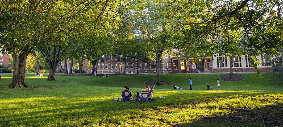 Students relax and study on a grassy campus quad beneath leafy trees, with academic buildings in the background on a sunny afternoon.