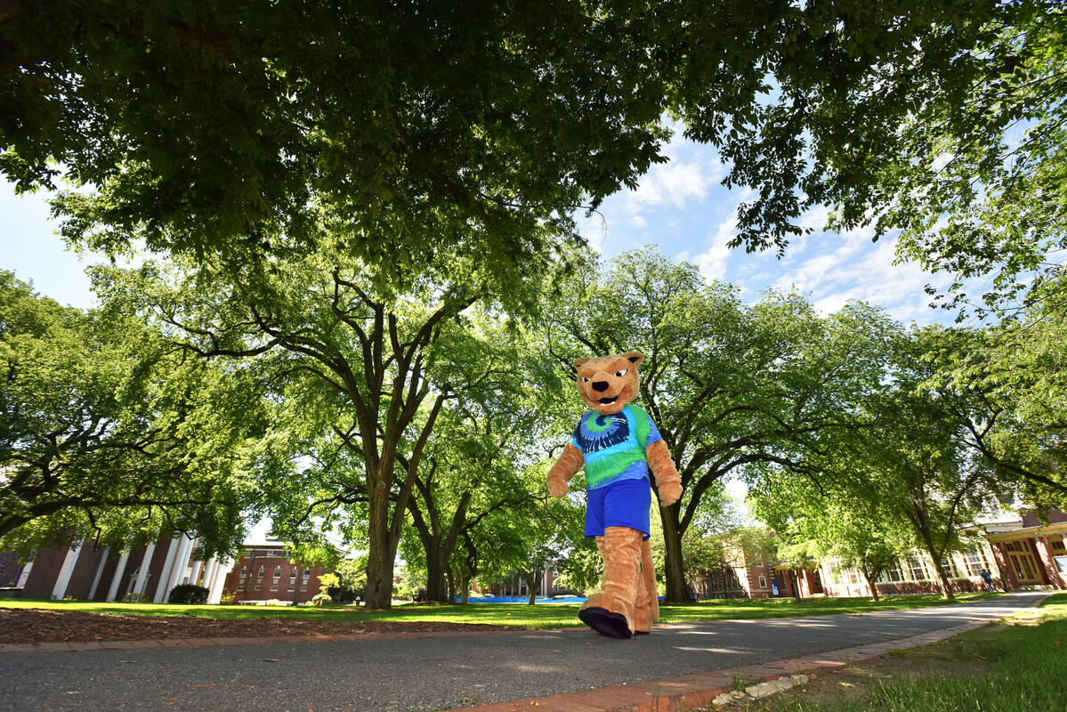 Mascot Roary, wearing a tie dye t-shirt in blue and green, walking across the campus quad