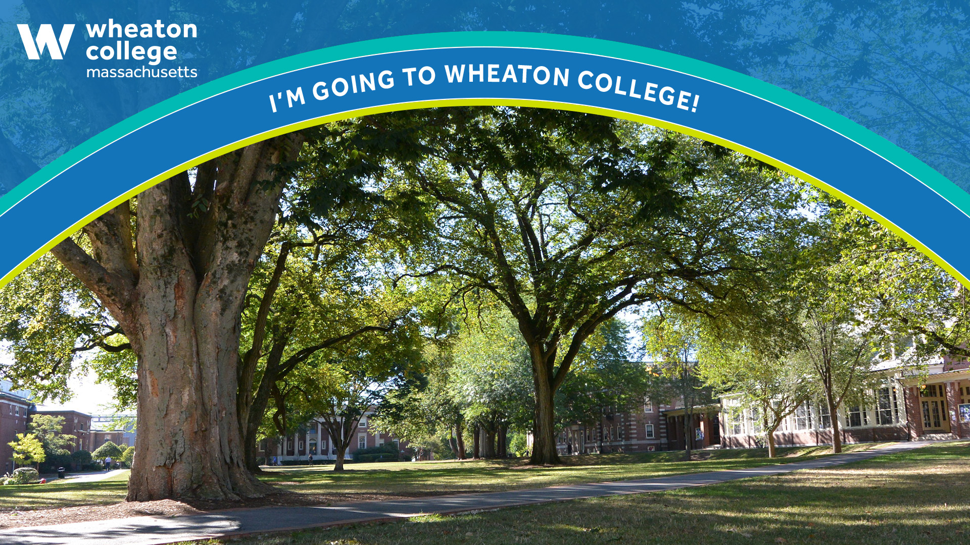 Zoom background of the Dimple's trees with the words, "I'm going to Wheaton College!" arcing over it