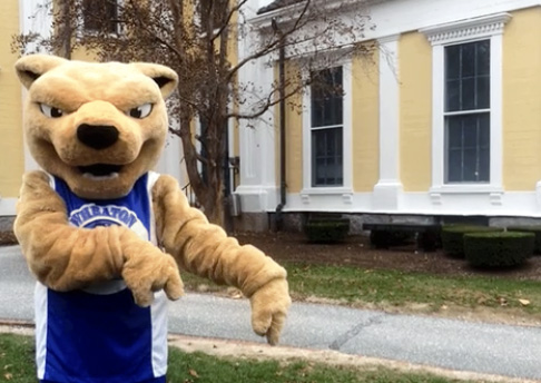 Mascot Roary pointing down