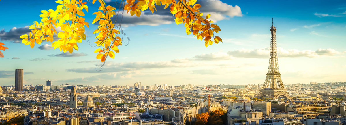 Bird's eye view of Paris, France
